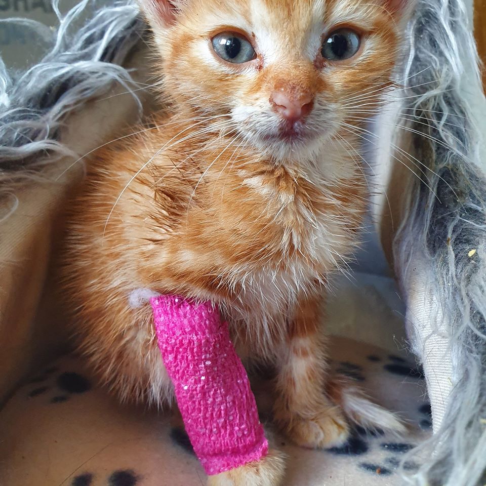 Weil jedes Leben zählt