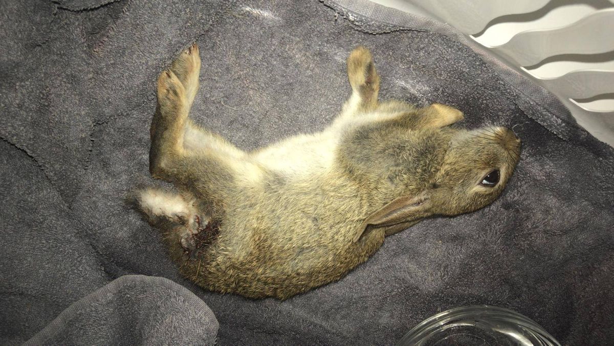 Heute ging es drunter und drüber