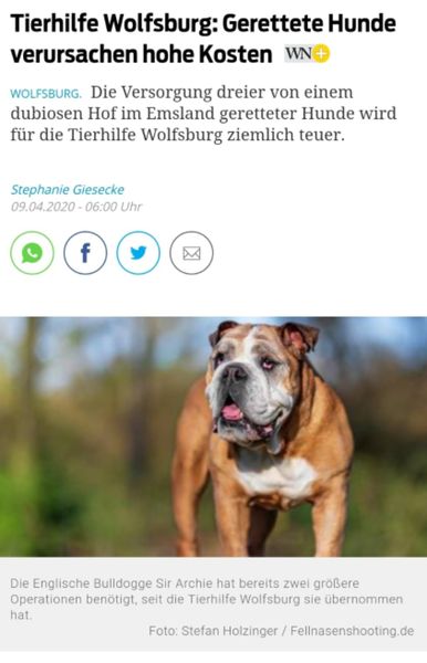 Wolfsburger Nachrichten – 09. April 2020