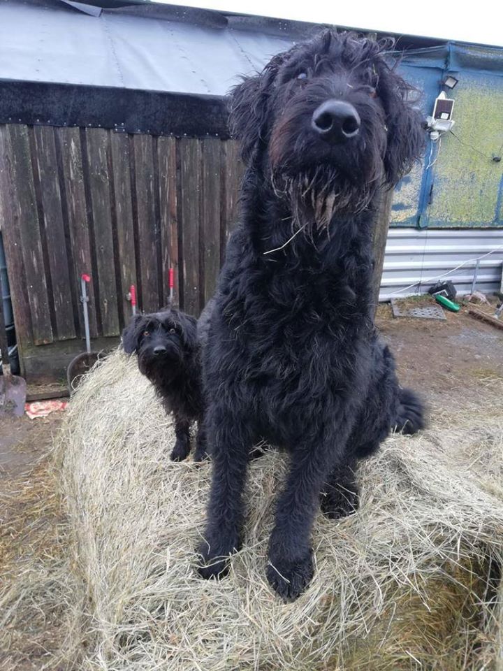 Grüße von ehemaligen Schützlingen
