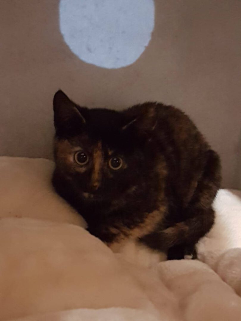 Jule kann bald ausziehen