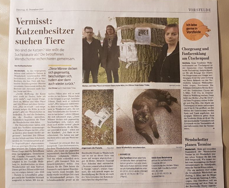 Katzenbesitzer suchen Tiere