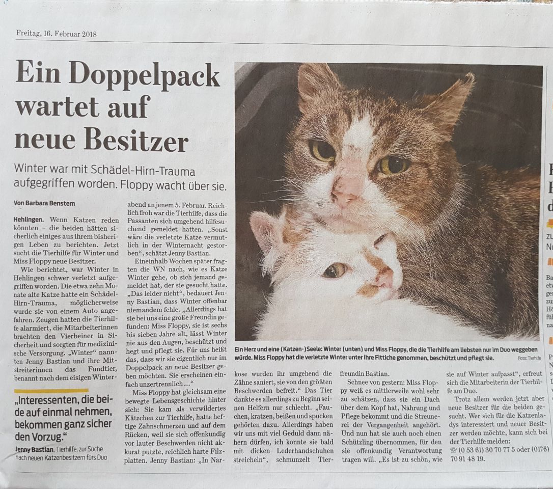 Winter und Miss Floppy