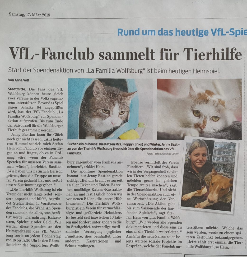 VfL Fanclub sammelt für Tierhilfe