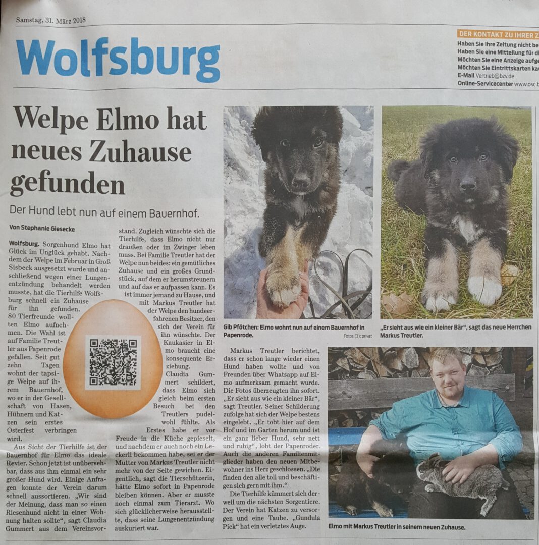 Elmo hat ein neues Zuhause