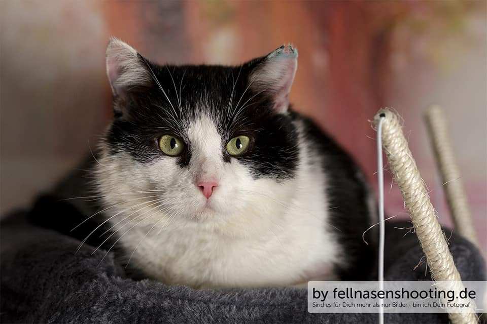 Liebe Grüße von Dante!