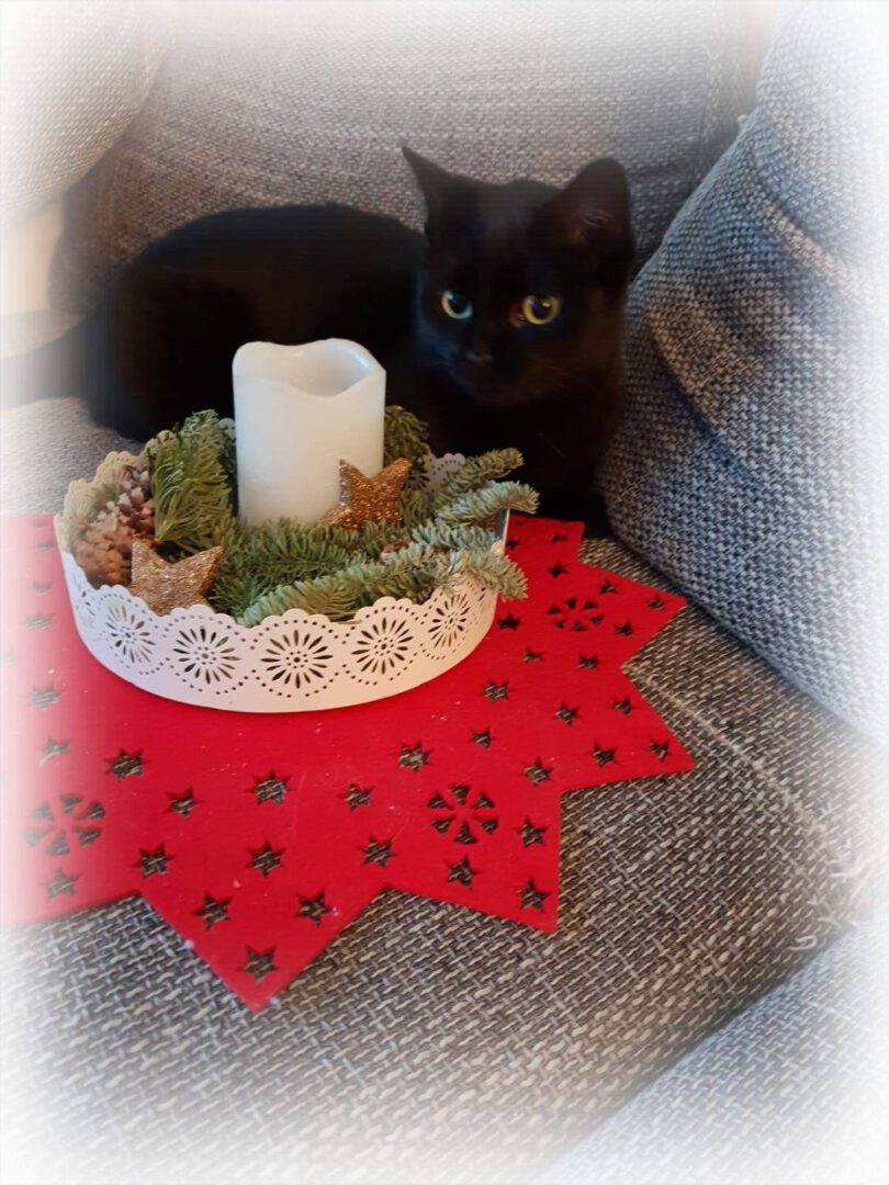 Einen schönen 3. Advent!