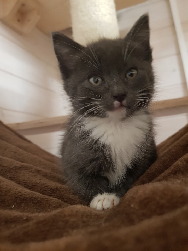 Und unsere 8 Flaschis sind nochmals ganz schön gewachsen …