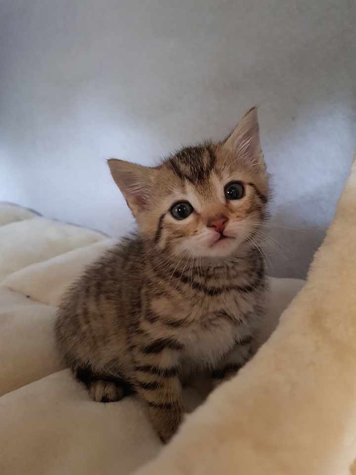 8 Flaschis10.jpg (720×960)