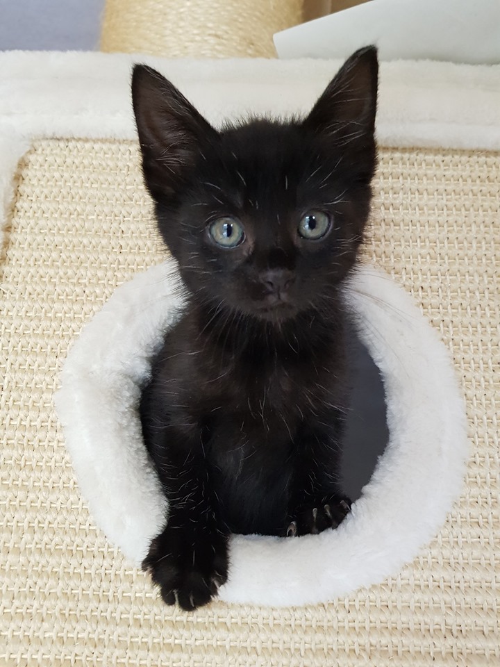 8 Flaschis11.jpg (720×960)