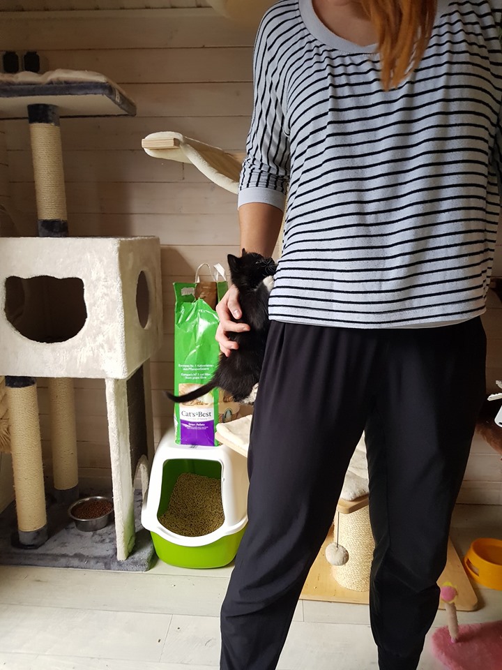 8 Flaschis12.jpg (720×960)