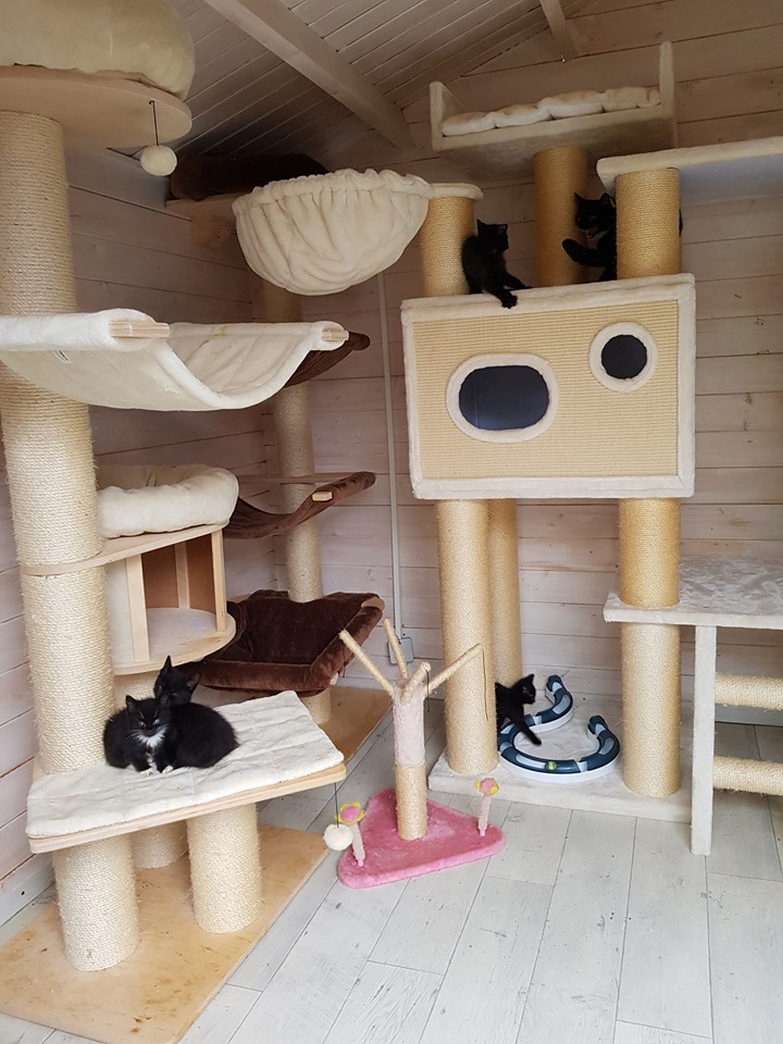 8 Flaschis13.jpg (720×960)