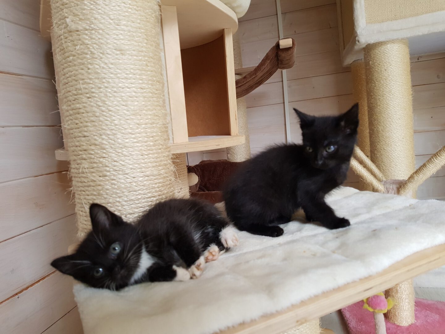 8 Flaschis14.jpg (2048×1536)