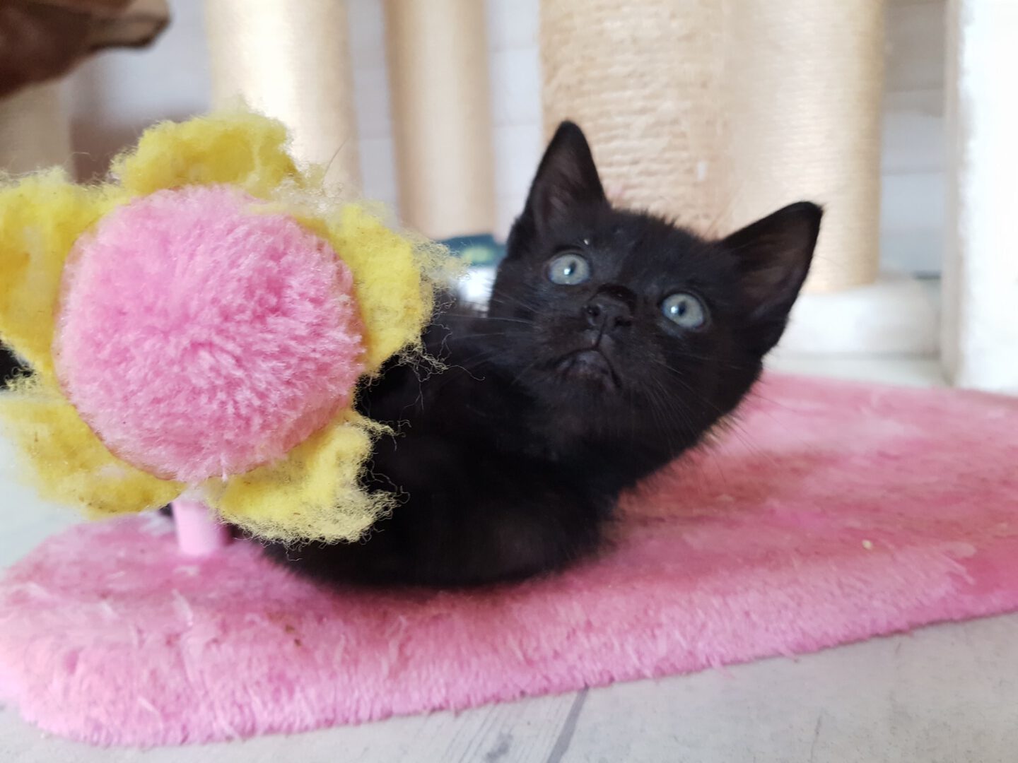 8 Flaschis15.jpg (2048×1536)