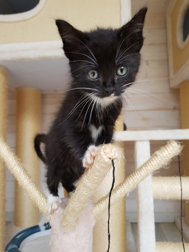 8 Flaschis16.jpg (720×960)