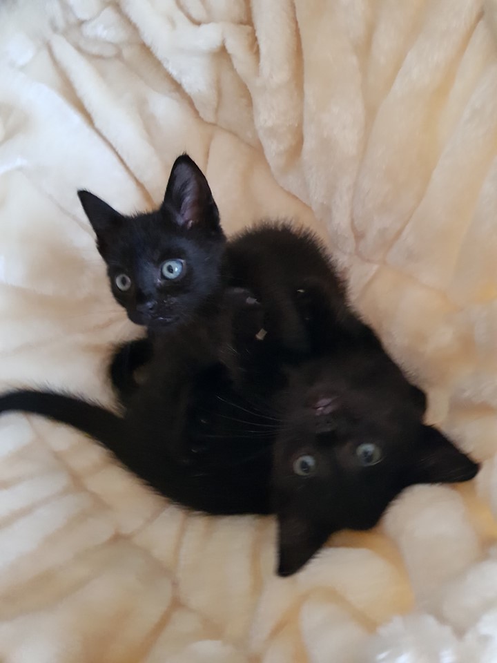 8 Flaschis2.jpg (720×960)