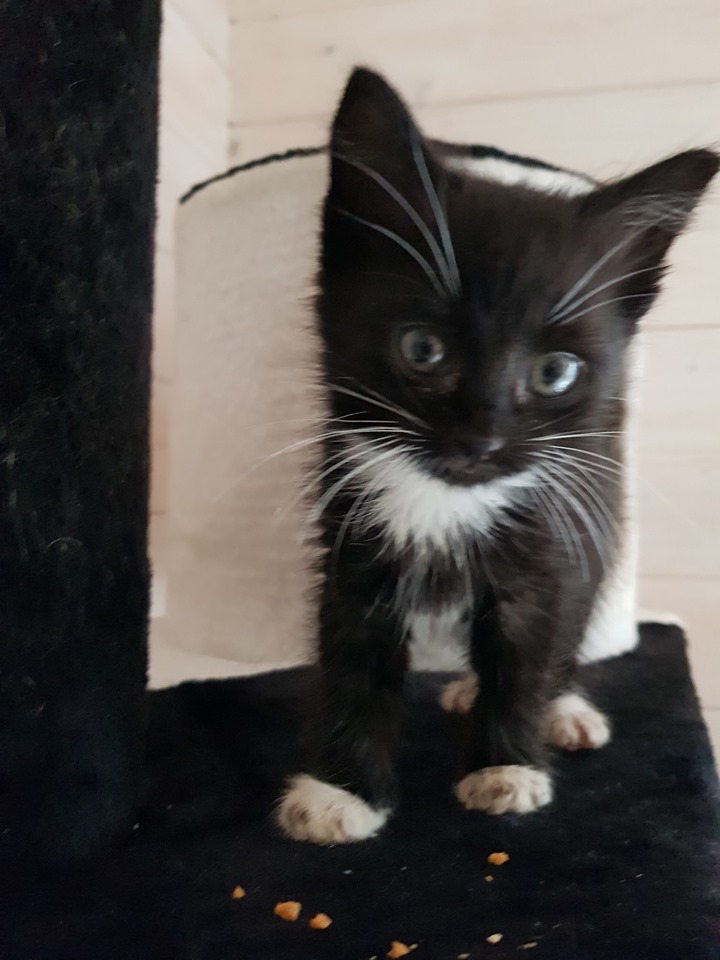 8 Flaschis3.jpg (720×960)