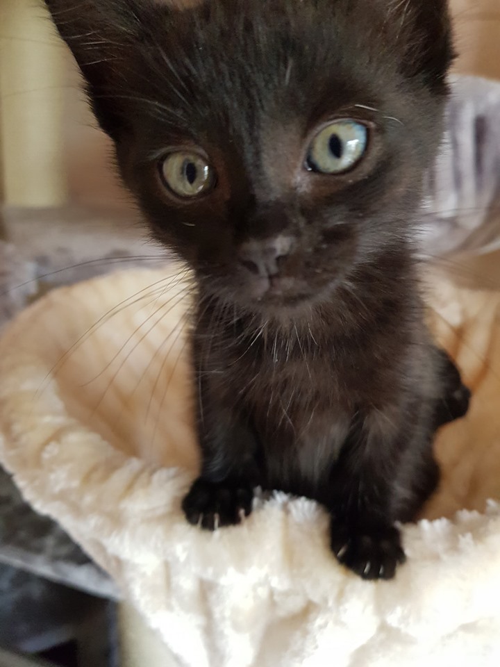 8 Flaschis4.jpg (720×960)