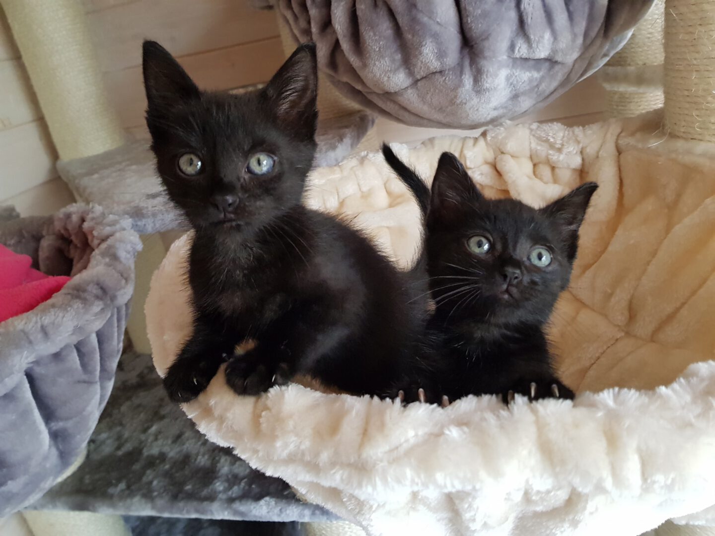 8 Flaschis6.jpg (2048×1536)