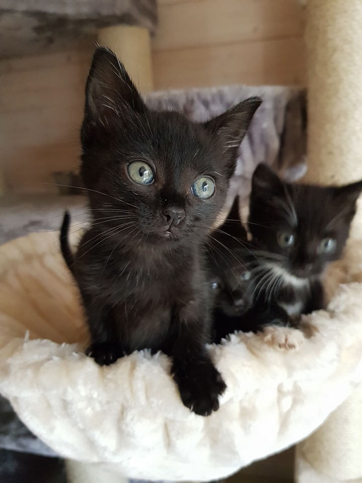 8 Flaschis7.jpg (720×960)