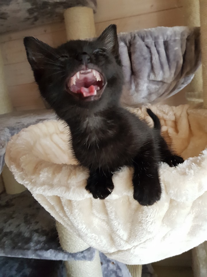 8 Flaschis8.jpg (720×960)