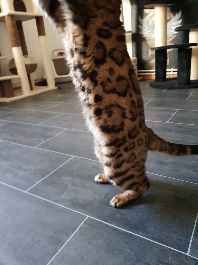 ArmaniBluehtAuf1.jpg (1536×2048)