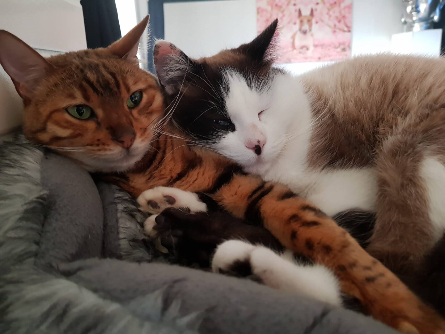 Einen schönen 2ten Advent!