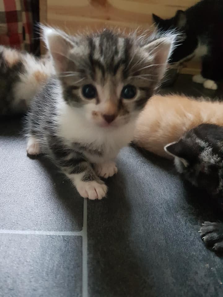 BabyWelt.jpg (720×960)