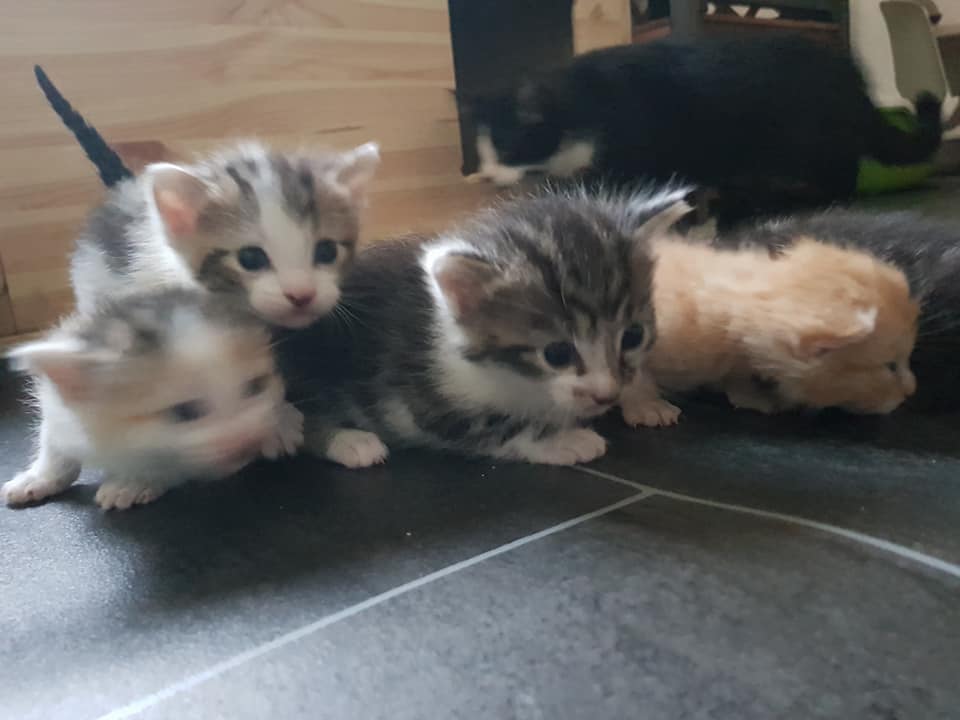 BabyWelt2.jpg (960×720)