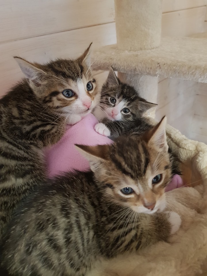 Babylicious12.jpg (720×960)