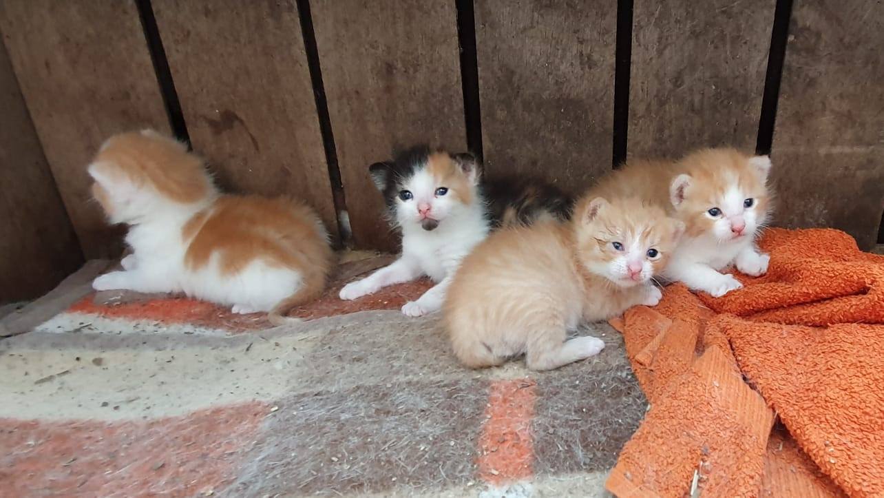 Babylicious14.jpg (1284×723)