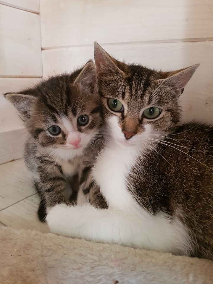 Babylicious15.jpg (720×960)