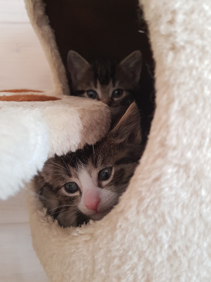 Babylicious16.jpg (720×960)