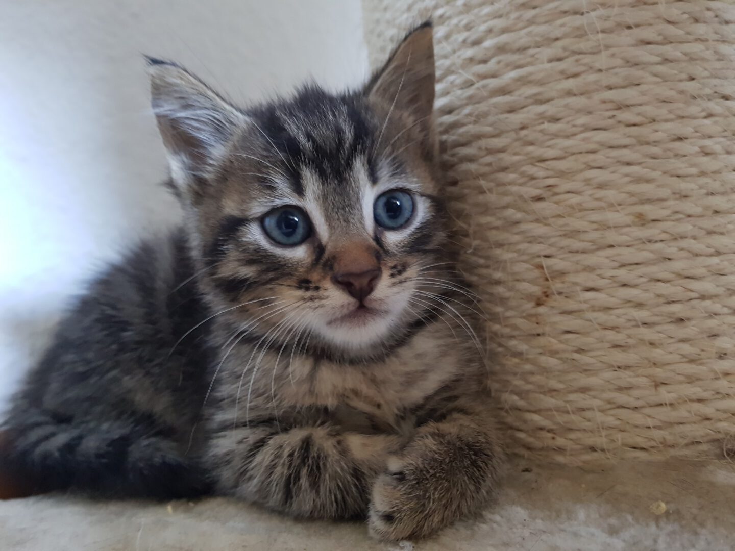 Babylicious17.jpg (2048×1536)