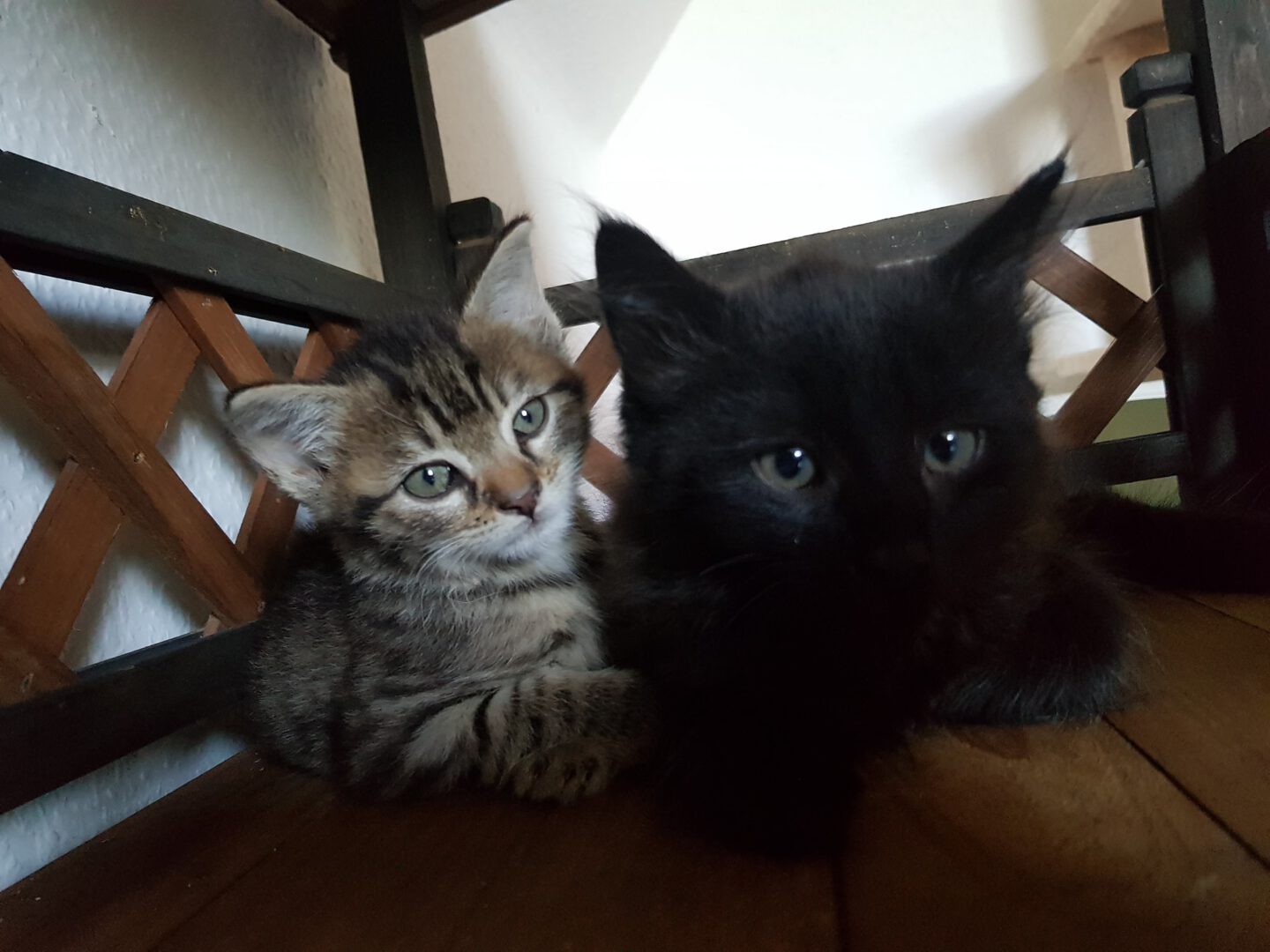 Babylicious18.jpg (2048×1536)