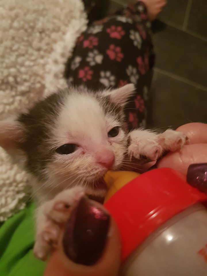 Babylicious20.jpg (720×960)