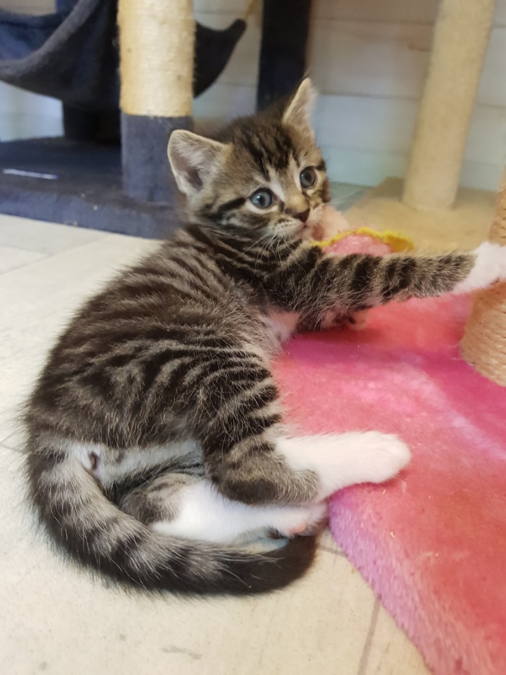 Babylicious3.jpg (720×960)