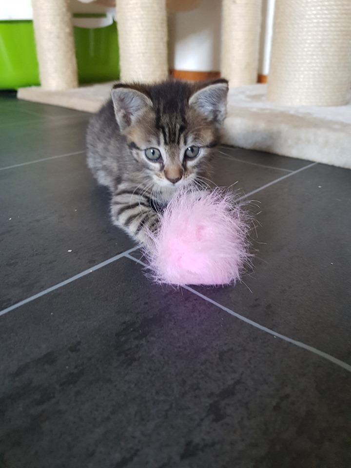 Babylicious4.jpg (720×960)