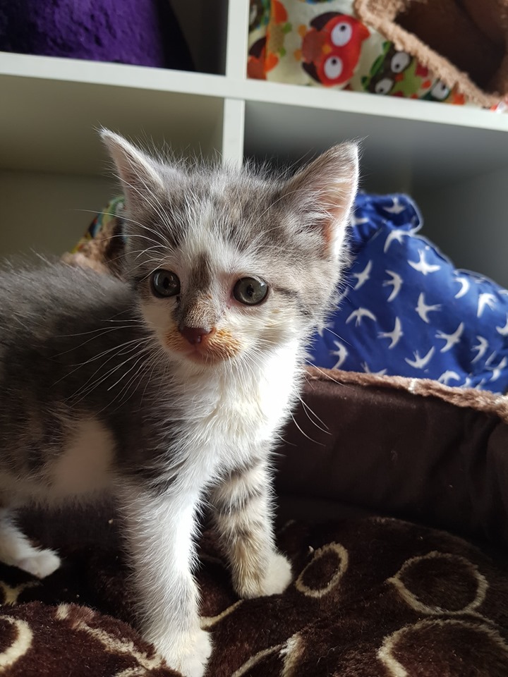 Babylicious5.jpg (720×960)