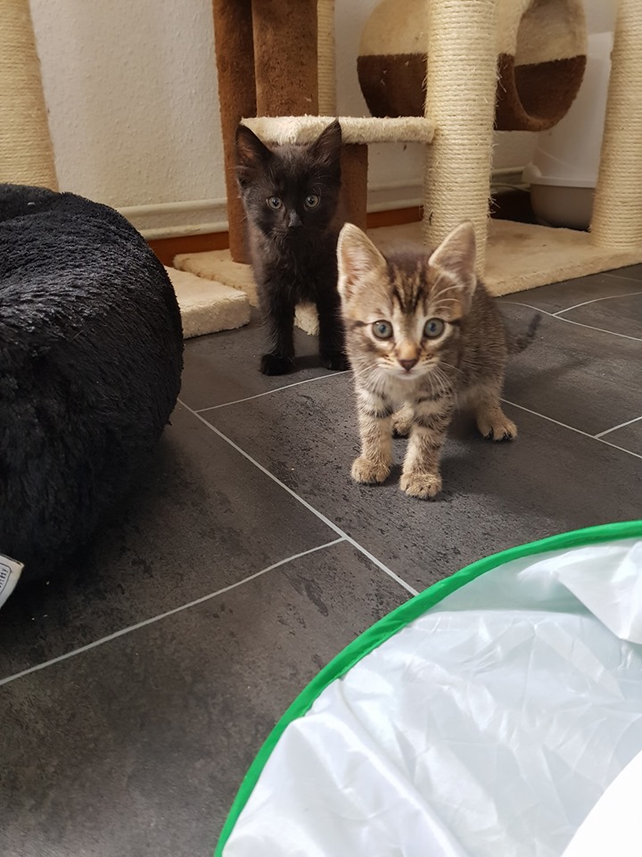 Babylicious6.jpg (720×960)