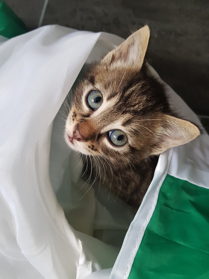 Babylicious7.jpg (720×960)