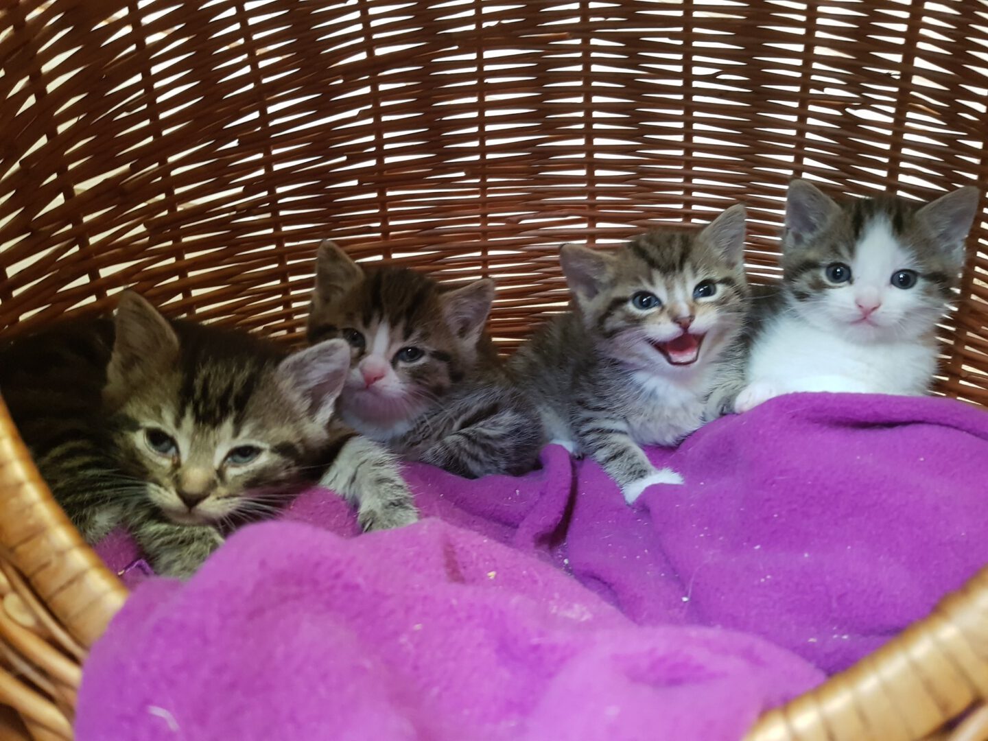 Babylicious9.jpg (2048×1536)