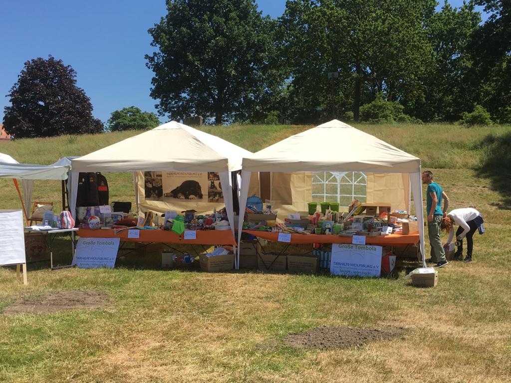 DetmerodeFast.jpg (1024×768)