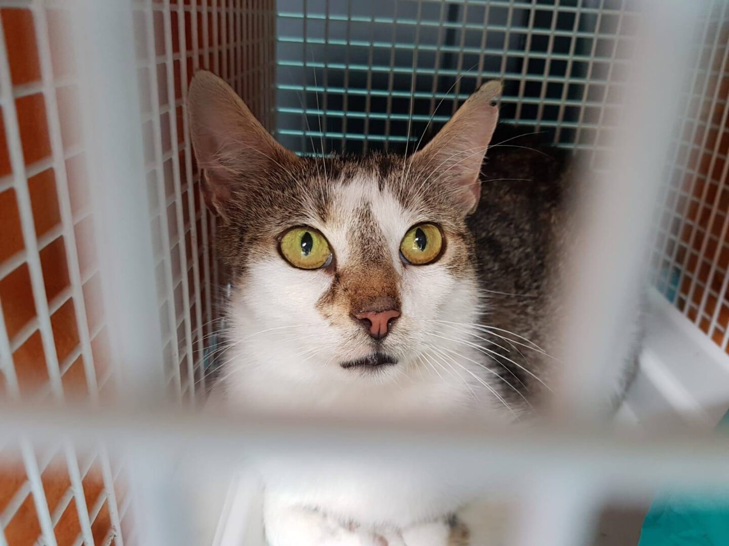 Einsatz7.jpg (1600×1200)