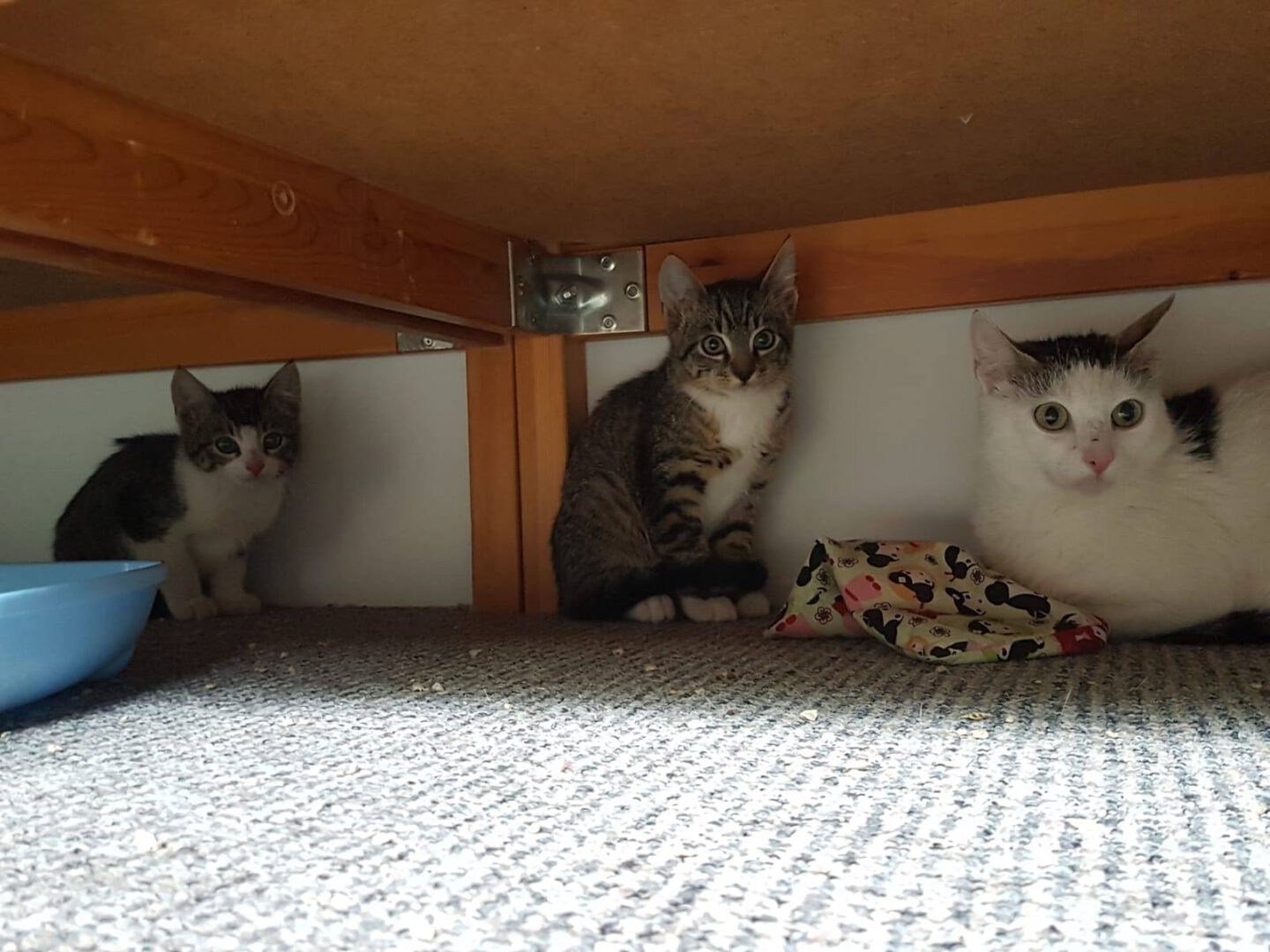 Einsatz9.jpg (1600×1200)