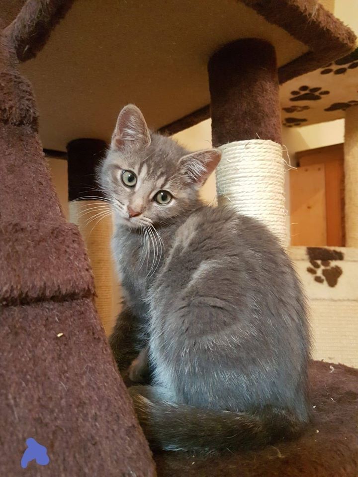 Esgehtweiter1.jpg (720×960)