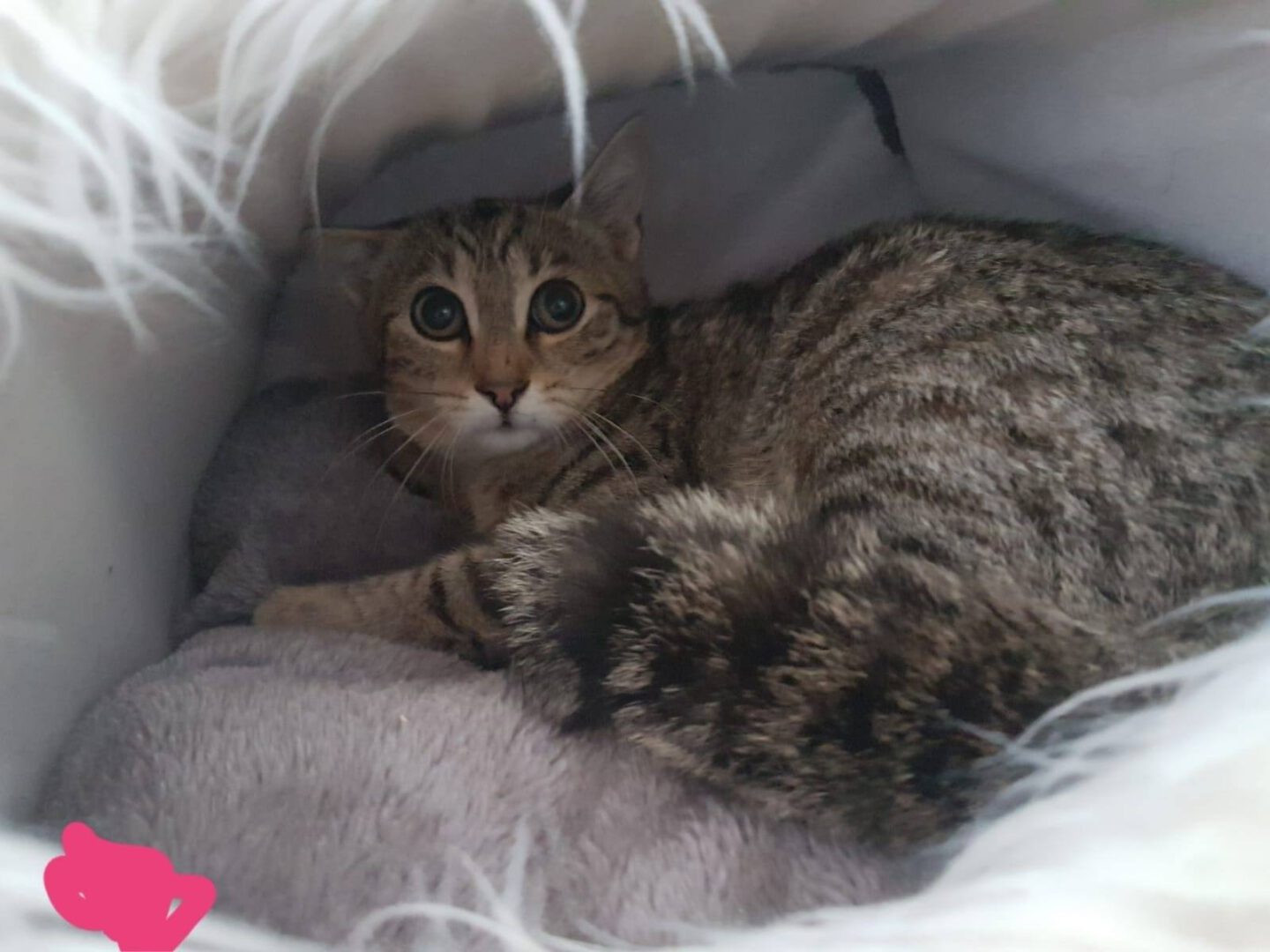 Esgehtweiter10.jpg (1600×1200)