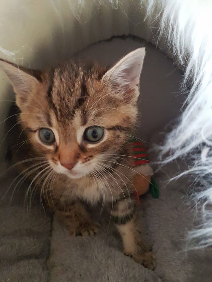 Esgehtweiter11.jpg (720×960)