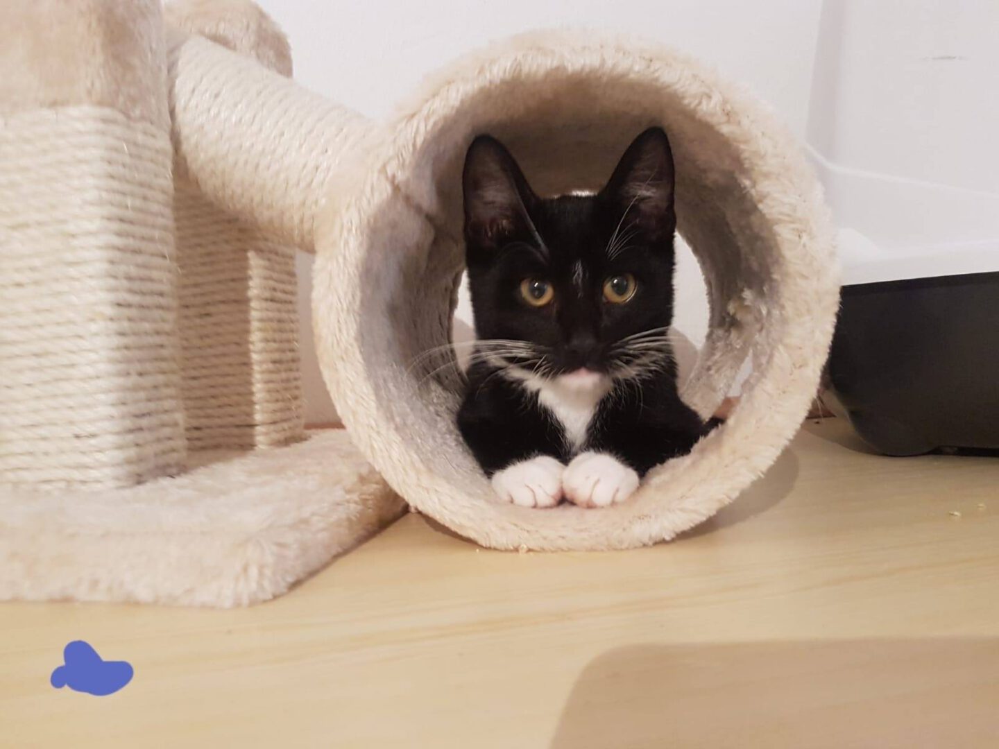 Esgehtweiter12.jpg (1600×1200)