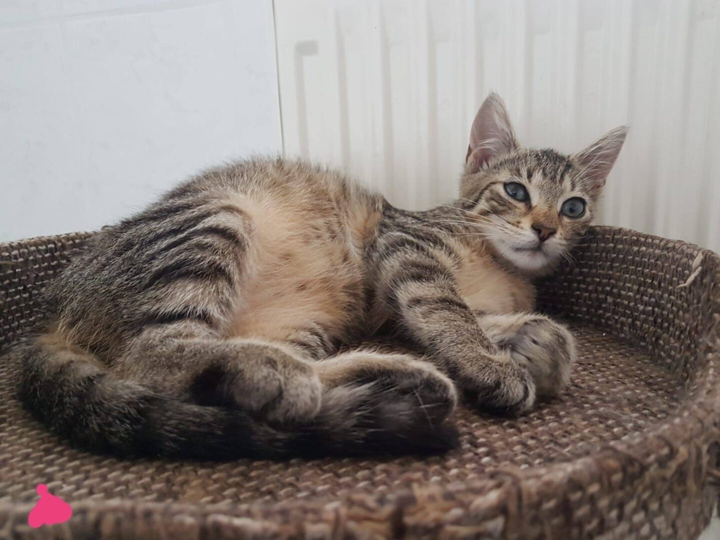 Esgehtweiter13.jpg (1600×1200)